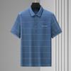 Men's Plus Size Striped Polo Shirt