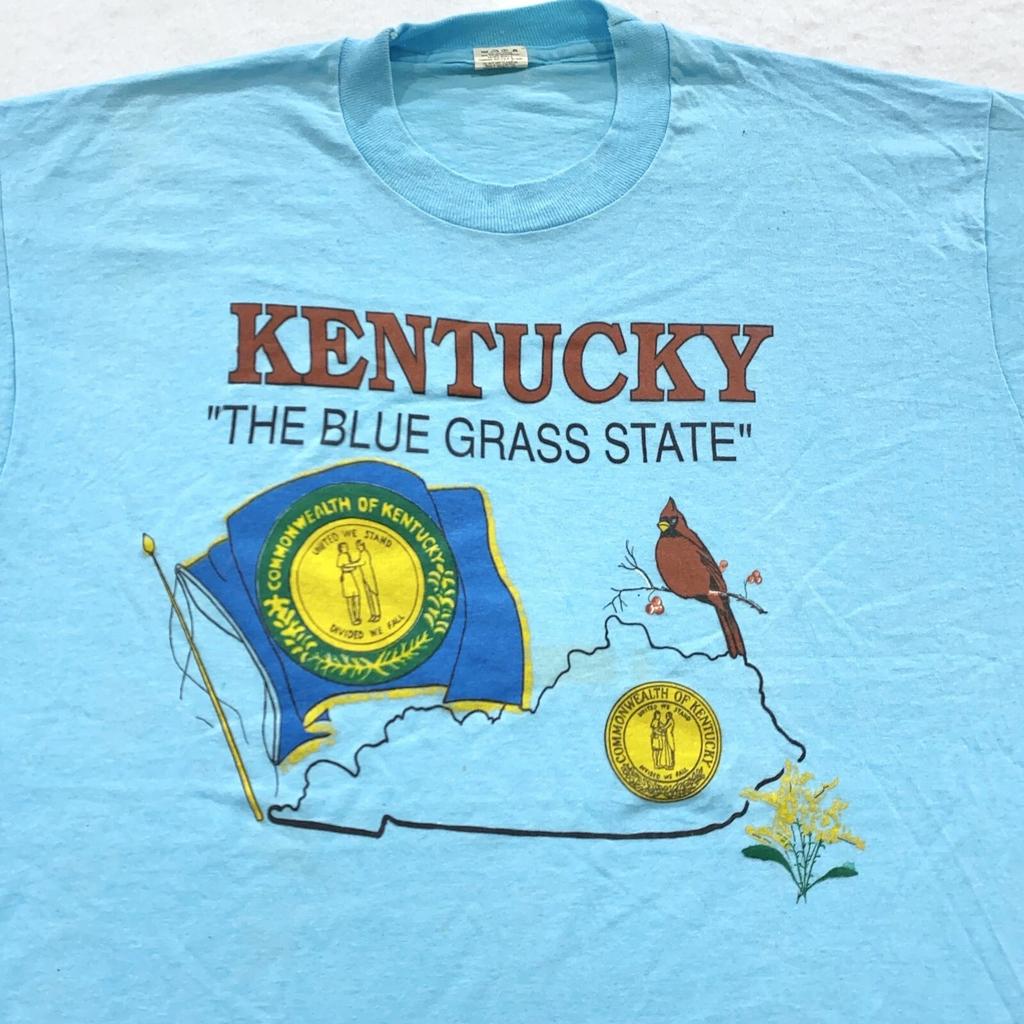 T-shirt vintage années 80 ÉTAT DU KENTUCKY BLUE GRASS MOYEN/GRAND doux fin cardinal