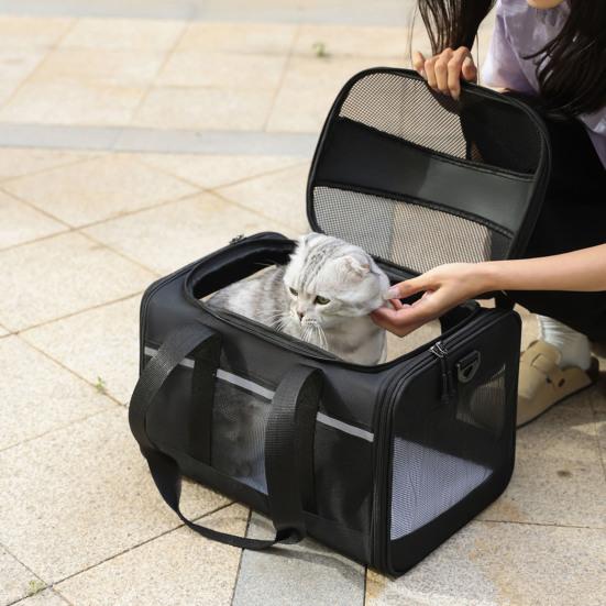 Sac de Transport Chat en Maille Fourre-tout de Voyage pour Animaux de Compagnie avec Bandoulière Réglable Transporteur pour Animaux de Compagnie Respirant Sac Bandoulière pour Petits Chiens Chats
