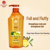 Fenghua Ginger Hair Strengthening Shampoo 600ml