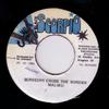 7inch Record MALIBU  Screechy Cross The Border NONE Black Scorpio 1993 Jamaica Reggae Ska  Dub Used