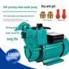 Automatic Self-Priming Booster and Circulation Pump for Well Water, 220V.