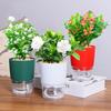 1Pc Plant Pot Self Watering Clear Plastic Double-Layer Water Storage Flowerpot