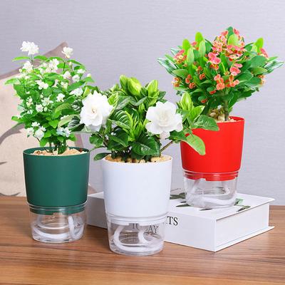 1 Stück Blumentopf Selbstbewässerung Durchsichtiger Doppelschichtiger Wasserspeicher-Blumentopf aus Kunststoff