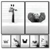 1 stuks Hete Humor Grappige Zwart Witte Dieren in Badkuip Badkamer Poster HD Posters Huis Kamer Bar Cafe Decor Kunst Muurschildering Afbeelding