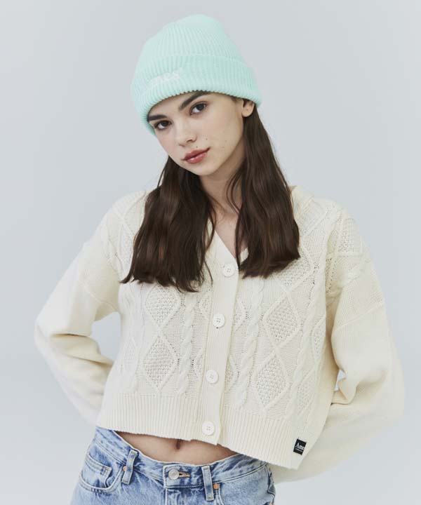AMES-WORLDWIDE Basic Logo Beanie Mint