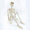 Esqueleto de Halloween de cuerpo completo con articulaciones articuladas, esqueleto humano realista, decoraciones para fiestas, casas embrujadas, truco o trato, juguete festivo