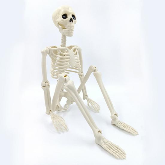 Esqueleto de Halloween de cuerpo completo con articulaciones articuladas, esqueleto humano realista, decoraciones para fiestas, casas embrujadas, truco o trato, juguete festivo