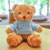 Teddy Bear Sweater Hug Plush Doll for Girls - Valentine's Day or Birthday Gift