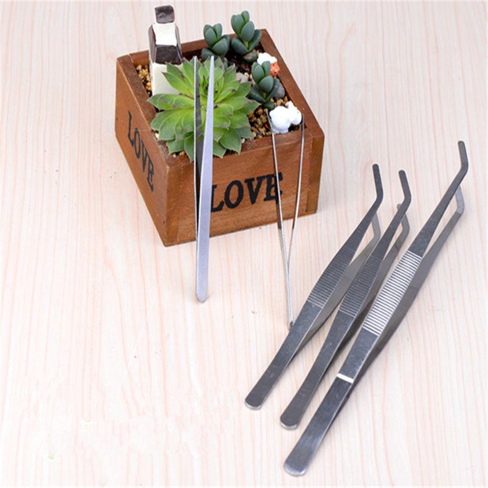 Supplies Garden Tool DIY Accessory Anti-Static Micro Landscape Bonsai Tweezer Stainless Steel