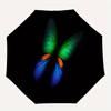 Colorful Butterfly Wings Phone Wallpaper BackgroundUmbrella, Cute Umbrella with Cute Design, Portable 3-Fold Compact Umbrella for Men & Women, Valenti