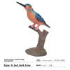 Realistic Bird Model Pvc Owls Eagles Parrots And Woodpeckers For Childrens Educational Decor