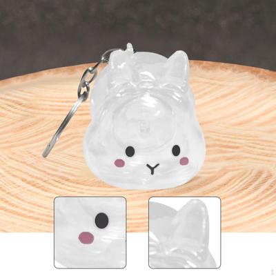 Collector Keyring for Pet Lovers Hair Holder Memorial Storage Box