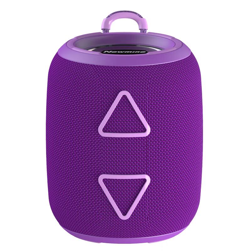 Newmine BT87 Portable Bluetooth Speaker (CN Version)