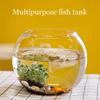 1 Round Glass Container Suitable for Home Decoration Plant Ornaments Wedding DecorationSmall Fish and Succulent Plants