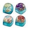 Clear Keycaps Featuring Underwater And Ocean Creature Pattern For Mechanical Keyboards Switches Decoration