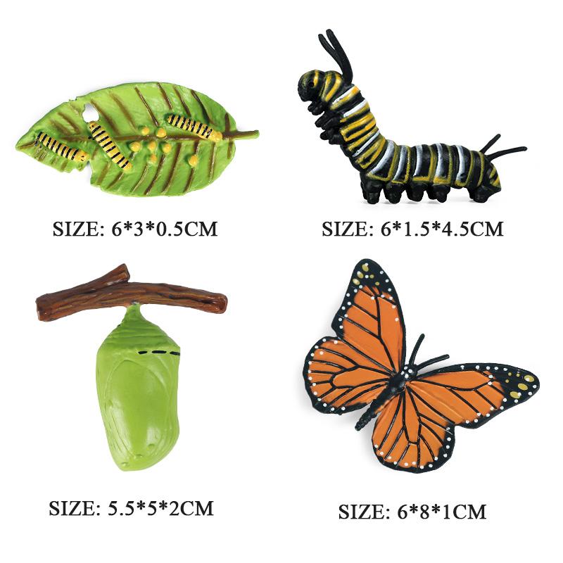Oenux Modelo de Animales Insectos Mariposa Monarca Actias Ningpoana Mariposa Cola de Golondrina Ciclo de Vida Figura de Jardín Juguete Educativo para Niños Regalo