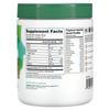 Enhanced Collagen, Chocolate Flavor, 504G(17.78Oz)