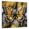 PANEL SZKLANY DO KUCHNI 60x65 Motyl