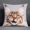 Cat Series Pattern Decorative Pillowcase, Square  Home Office Decoration (45cm * 45cm)