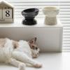 Ceramic Cat Bowl Slanted/Flat Mouth Multi-use Dog Food Feeding Basin Anti Tipping Creative Pet Drinking Feeder Kitten Puppy