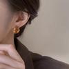 Vintage Brown Resin Tiger Eye Stone Earrings For Women  Earring Personality Maillard Color Jewelry Gift