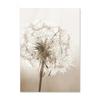 Nordic Beige Dandelion Painting Poster Reed Canvas Art Print Flower Posters Bunny Tail Grass Wall Art Picture Living Room Decor