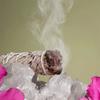 Manojo de Salvia Blanca de 10 cm Manojos Prácticos de Limpieza Energética Calma los Nervios