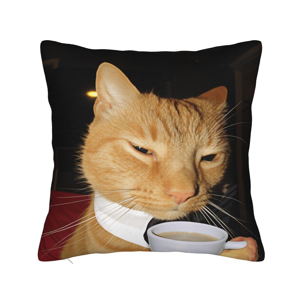 Pet Cat Funny Memes Pillow Case Vintage Pillow Cover Soft Pillowcases For Office Car Home Decor