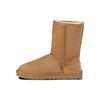 Bottes Courtes Classiques Baskets Marron 5800-CHE