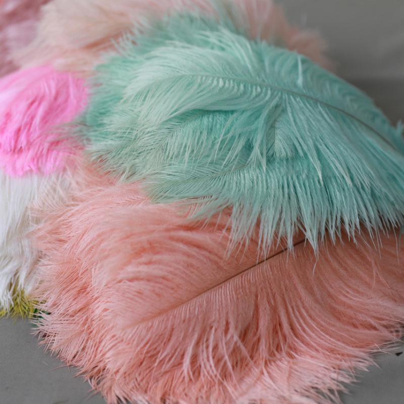 10PCS 20-25Cm Ostrich Feather Stage Performance Feather Handmade Diy Jewelry Decorative Material Ostrich Hair