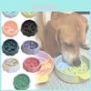 Pet Safe Slow Feed Bowl For Small Dogs And Cats With Anti Spill Design