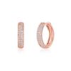 14K Gold Pin Ane One-Touch Earrings