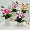 Multicolor Moth Orchid Artificial Flower Accessories Plastic Simulation Bonsai Green Leaves White Flowerpot