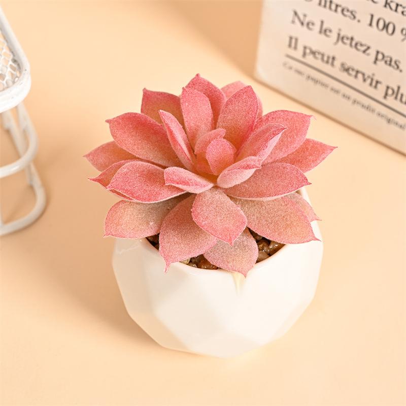 Mini Artificial Succulent Plants Set Realistic Fake Cactus Bonsai for Indoor Home Desktop Low Maintenance Lifelike Ornament