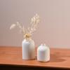 Ceramic Vase Desktop Flower Arrangement Flower Device Ins Style Dried Flower Flower Arrangement Flower Device Dining-Table Decoration