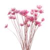 Beautiful Floral Bouquet No-wilting Romantic UV-resistant