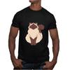 Gift with Ragdoll Cat for Cat Lovers Men Women Black Multicolor T Shirt