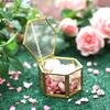 Hexagonal Glass Wedding Ring Box - Greenhouse Design