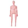Nursing Training Manikin, Female Life Size Demonstration Human Manikin for Nursing Training, Multifunctional Education Teaching Model Supplies, PVC