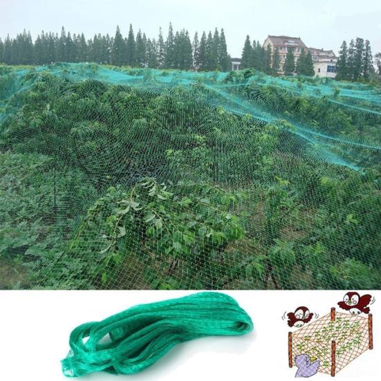 Filet de protection anti-oiseaux pour arbres, filet de culture de fruits, plantes, étang de jardin, maille