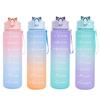 750ml Drinking Bottle Gradient Large Capacity Leak-proof Ins Style Traveling Straw Design Drinking Jug Daily Use