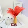 10PCS 20-25Cm Ostrich Feather Stage Performance Feather Handmade Diy Jewelry Decorative Material Ostrich Hair