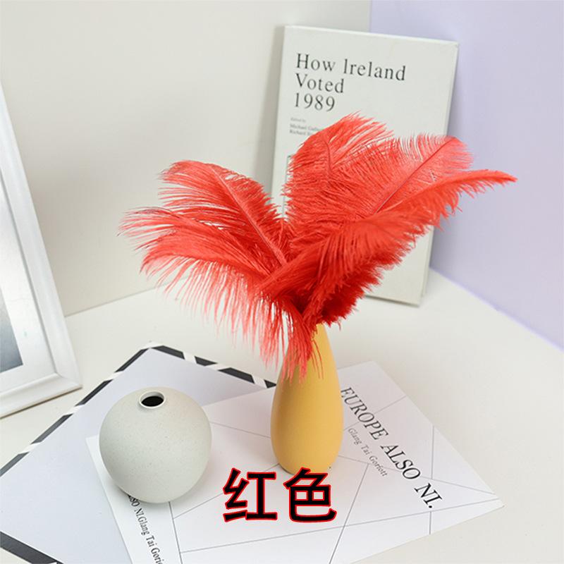 10PCS 20-25Cm Ostrich Feather Stage Performance Feather Handmade Diy Jewelry Decorative Material Ostrich Hair