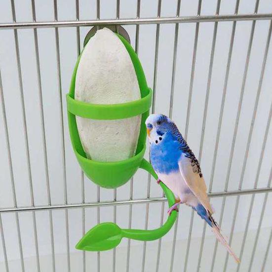 Bird Bowl Holder Feeding Container with Stand Holding Fruits Squid Bones Vegetables Cage Accessories