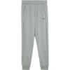 Essentiële Sweatpants Heren Broeken Grijs 848733-03