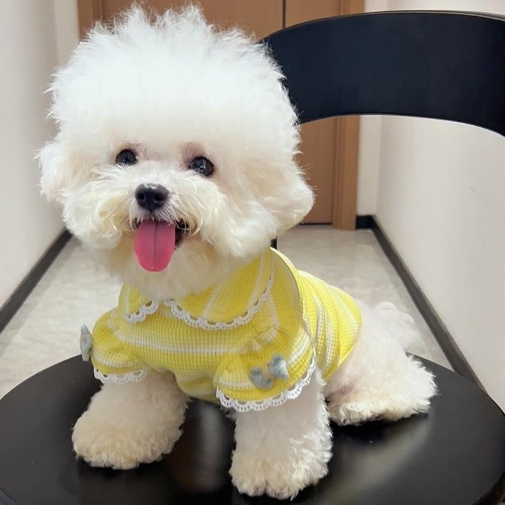 Ruffle Sleeves Dog Lace Knit Vest Stripe Design Pet Hoodie Lightweight Dog T-Shirt Photography