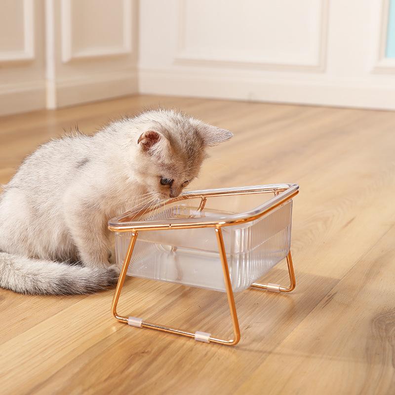 Pet Double Bowl Transparent High Foot Cat Bowl Drink Water Cat Food With Golden Stand Raised Water Feeder Dog Bowl Supplies