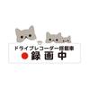 Biijo Drive Recorder Waterproof/Heat Resistant Sticker Seal Cat Cat Size