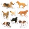 8 Simulated Dog Models Golden Retriever Bona Mountain Dog St. Bernard Short Legged Corgi Static Ornament Toys